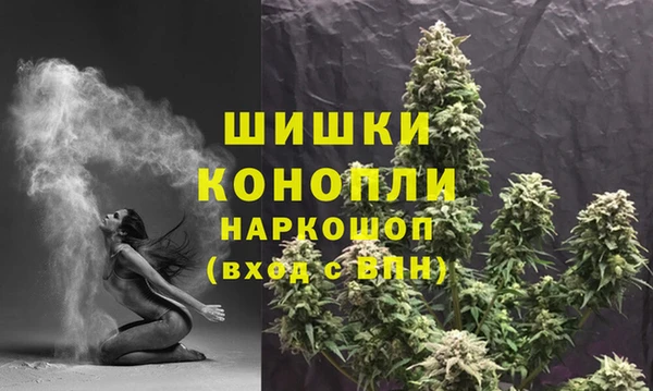 винт Белокуриха