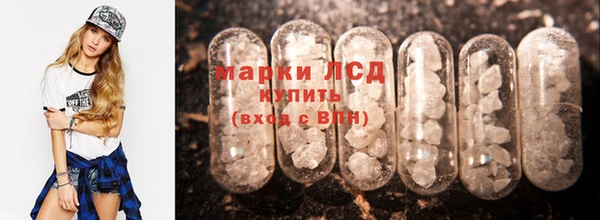 PSILOCYBIN Каменка