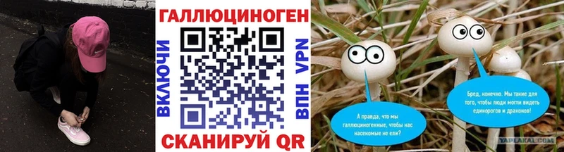 Псилоцибиновые грибы Cubensis  darknet телеграм  Онега 